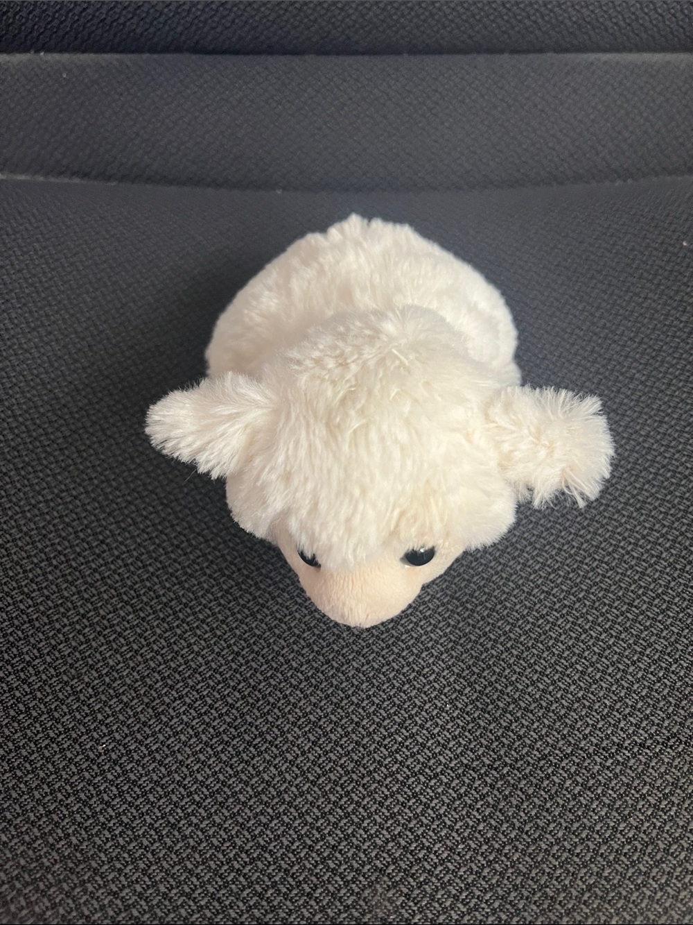 Plush Cream Lamb Small Pet Toy - Soft Cuddly Companion